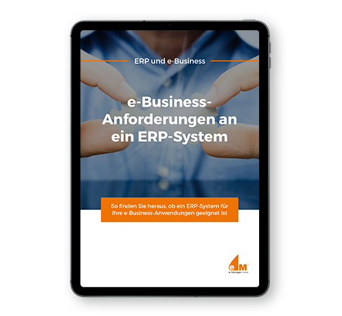 ressourcen-co-checkliste-erp-e-business